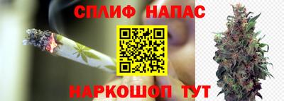 мяу мяу мука Кинель