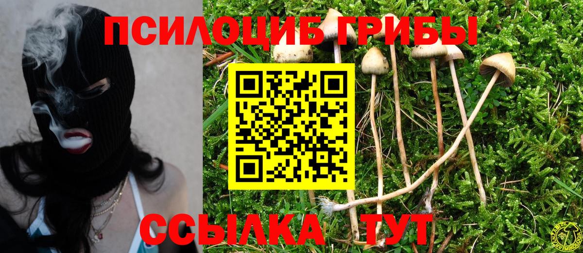 Элиста  Псилоцибиновые грибы Psilocybe  Вход с VPN  Псилоцибиновые грибы ЛСД 